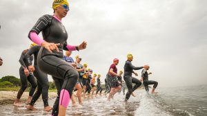 triathletes entering the water in gelibolu