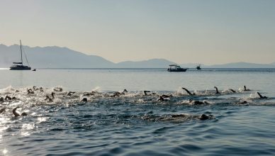 triathlon swimming competition in serene waters